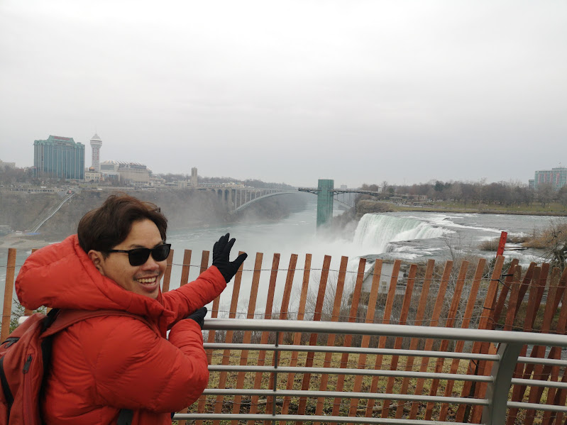 Niagara...you can go on your own, no need for a tour.